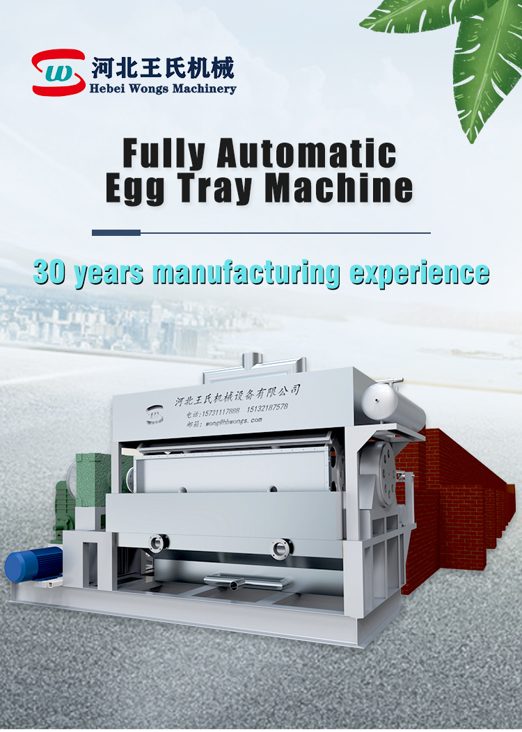 full automatic egg tray making machine 118-55