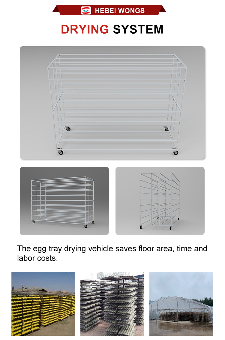  14 egg tray making machine -65