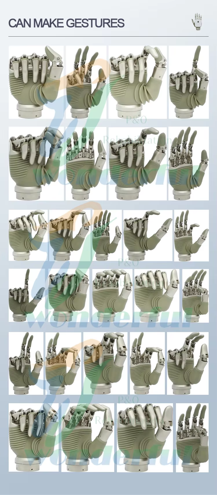 33B066A5-5DEA-4013-8377-75B8E7B7444F.png