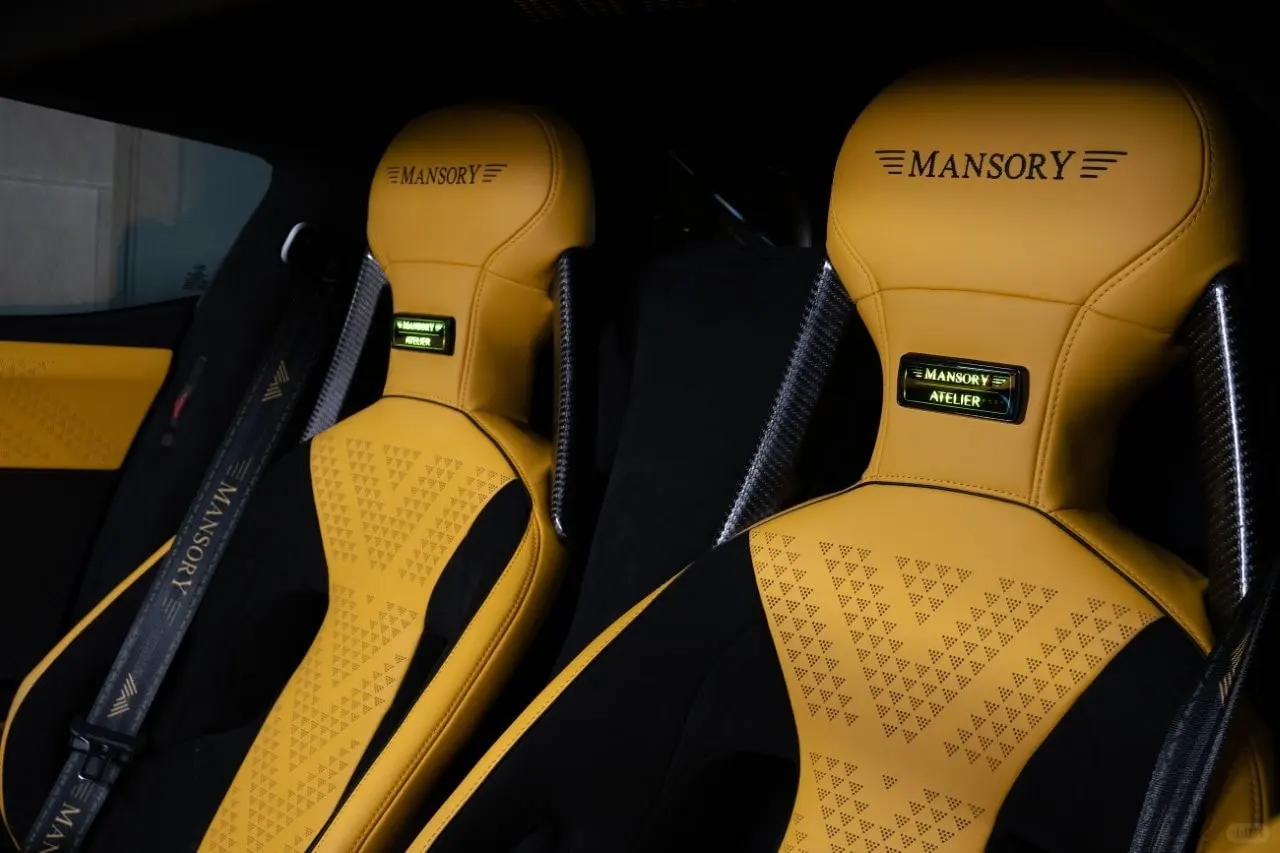 Mansory Ford GT Le Mansory3.png
