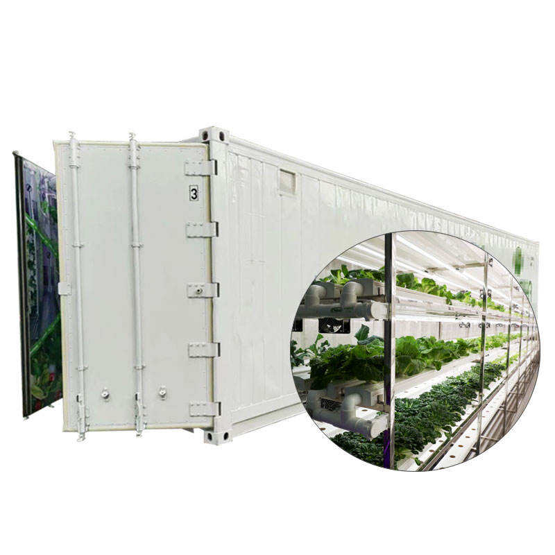 Hydroponic Vegetable Shipping Container Farm Vertical Indoor Growing System Container Greenhouse
