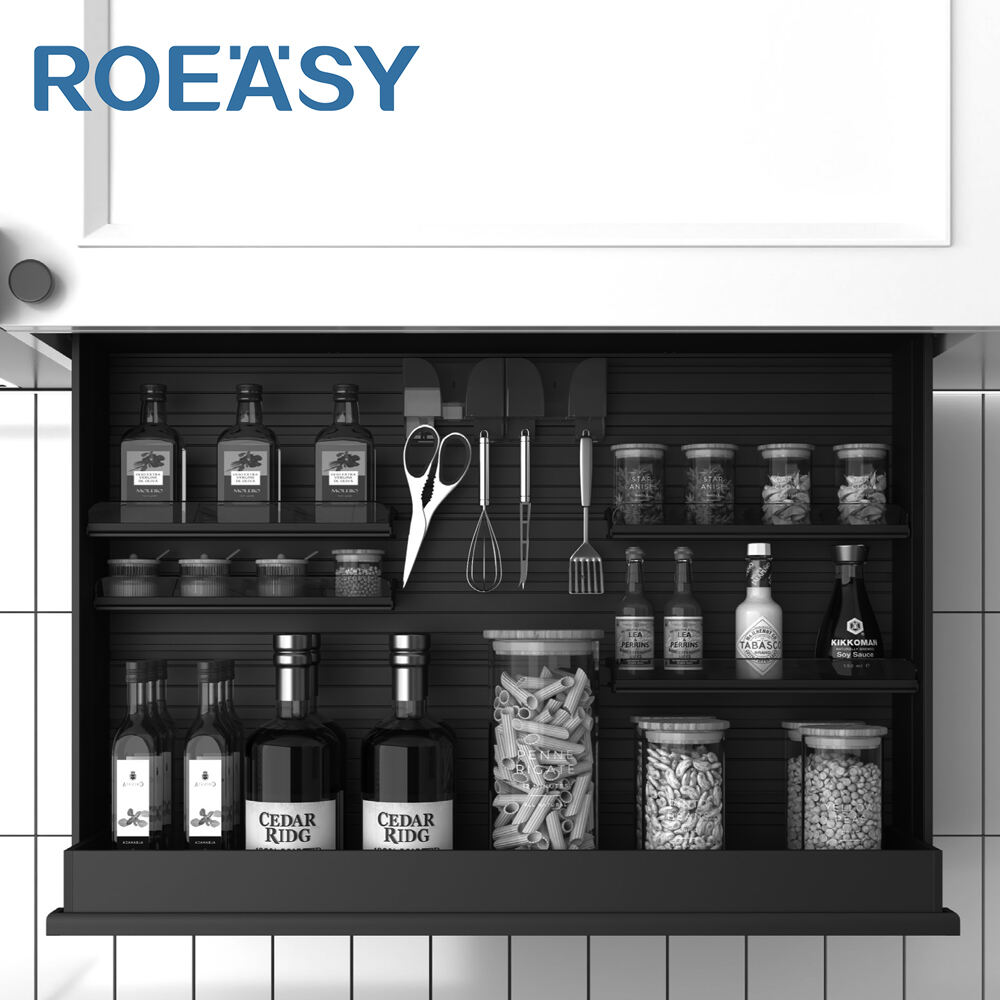 ROEASY Modern Design up and down Double Anti-Pinch Hanging Cabinet Organizer for Seasoning Storage in Kitchen