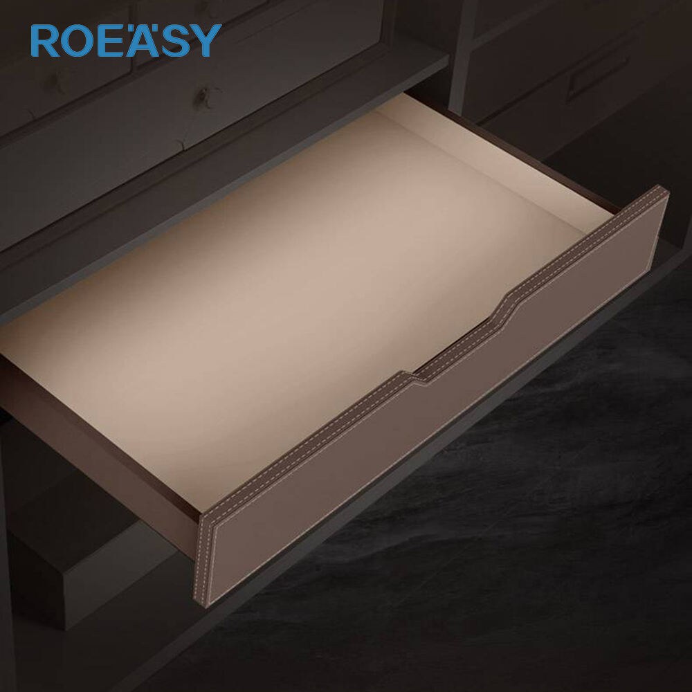 New product recommendation | Luxury Wardrobe Organizer Pull Out Leather Drawer 