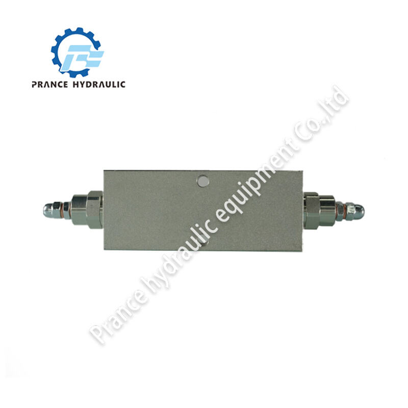 Dubbelt riktad motviktad ventil