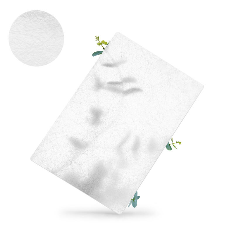 Transparent FRP Sheet 2