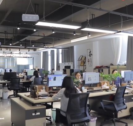 Professional Service