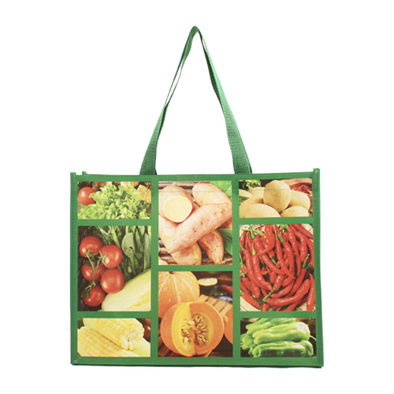 Non Woven Bag