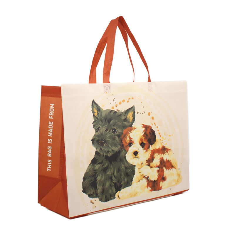 Industry Analysis | Non Woven Bag Innovation: How Technology is Transforming Sustainable Packaging Solutions