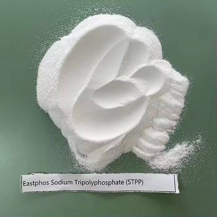 STPP63.jpg