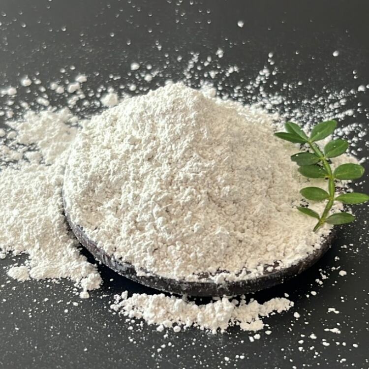 Ca(Oh)2 수산화 석회 공업용 칼슘 수산화물 Cas No 1305-62-0 소석회 수화 석회 분말