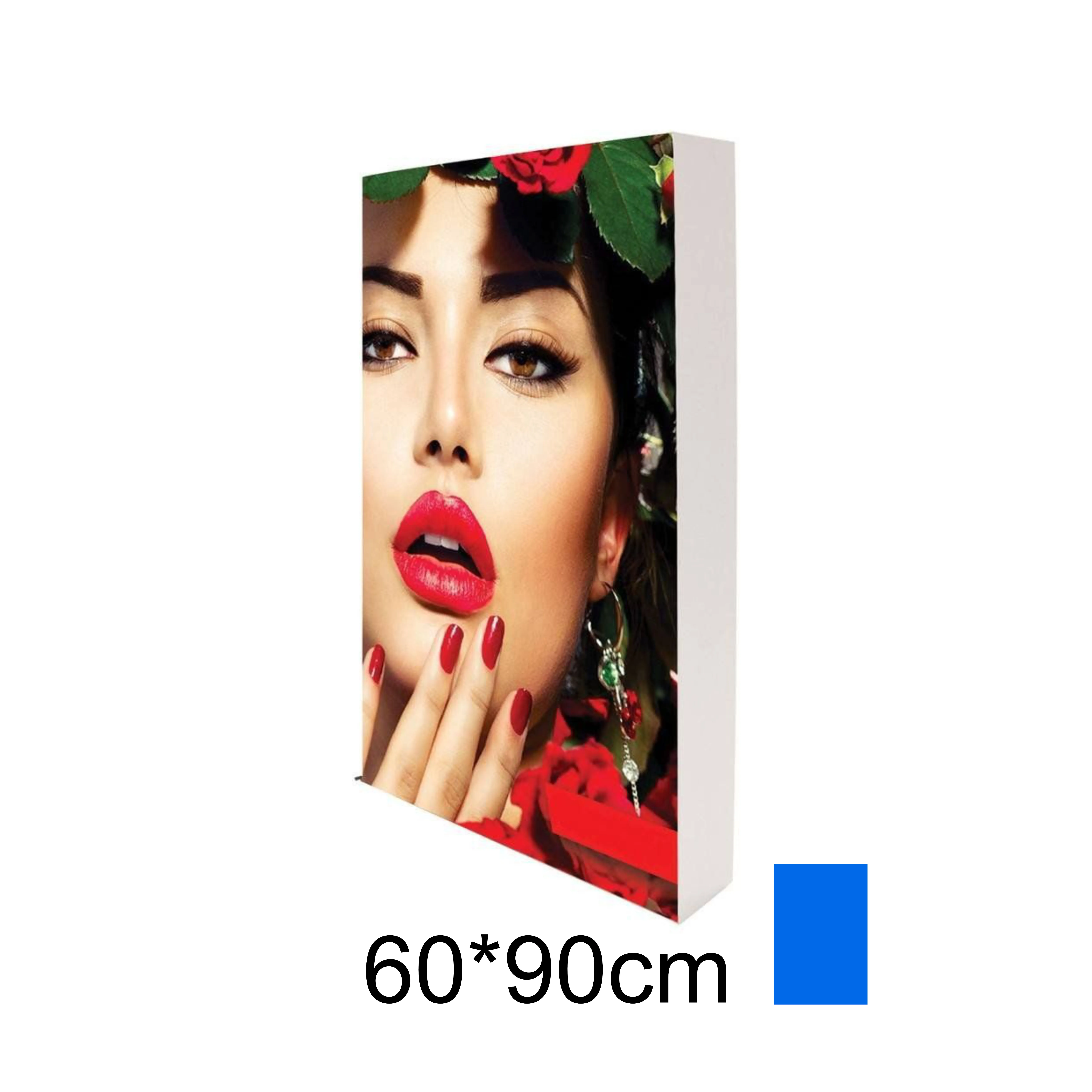 Tianlang Tl-80mm Side Glow Light Box: 60*90cm