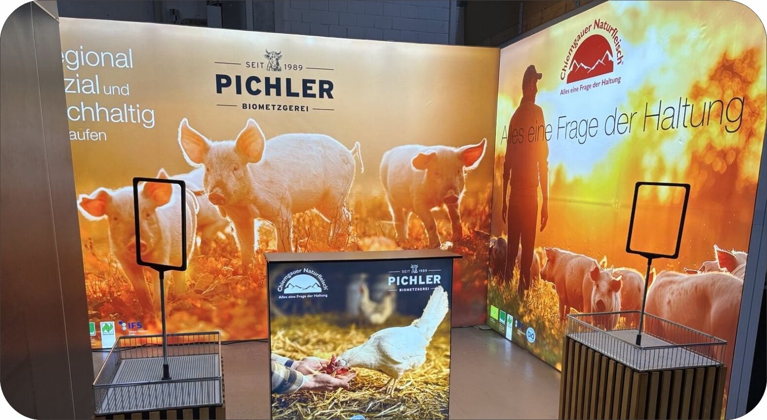 Utställningslåda bildvisning