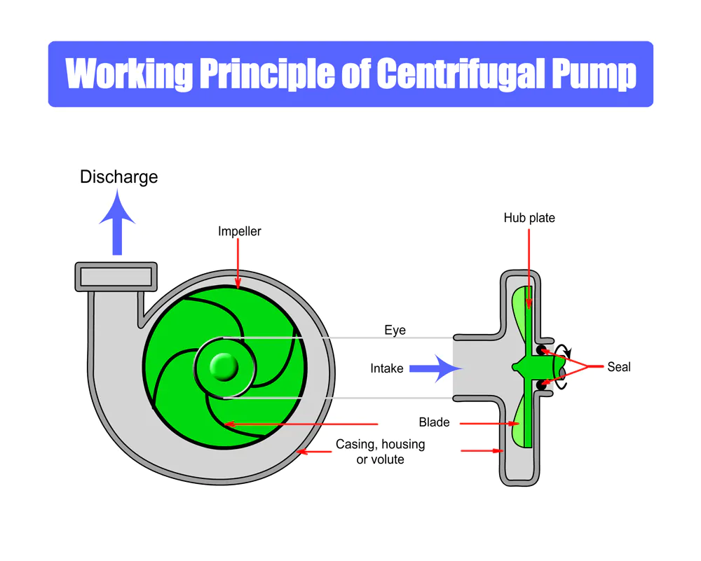 Working-Principle-of-Centrifugal-Pump.jpg.webp