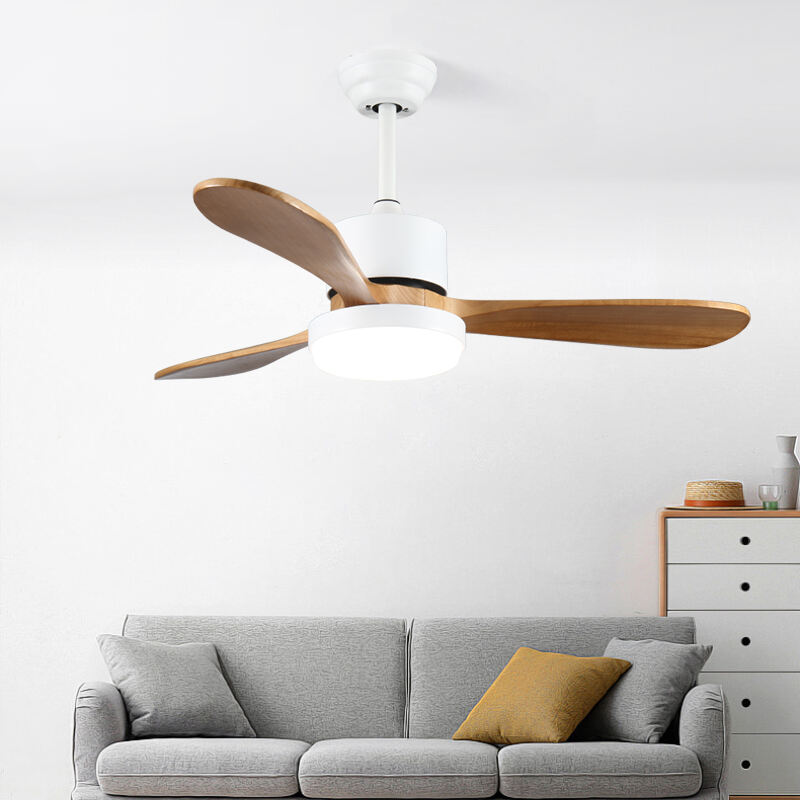 Materiale Moderno Duraturo e Sicuro