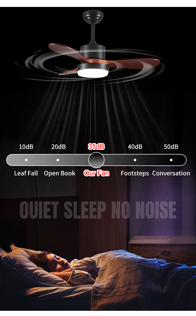 DEEBEA~1.JPG