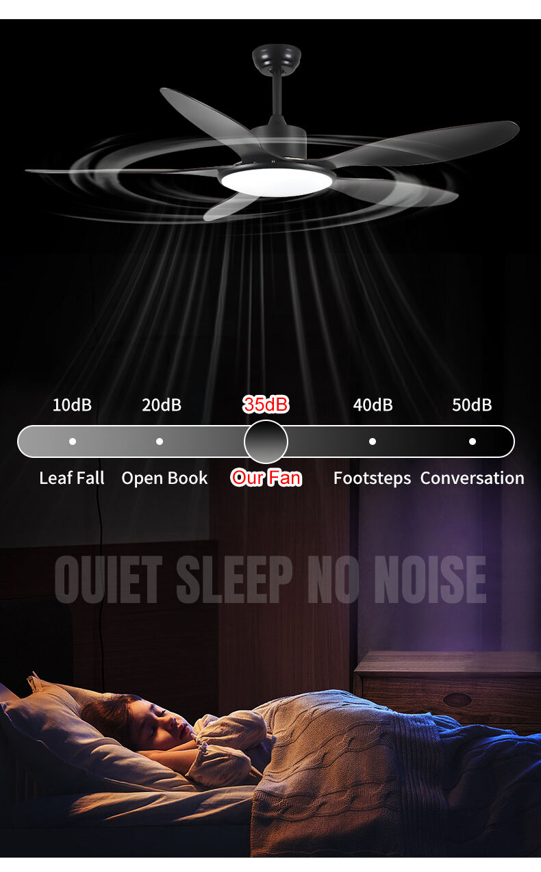 DEEBEA~1.JPG