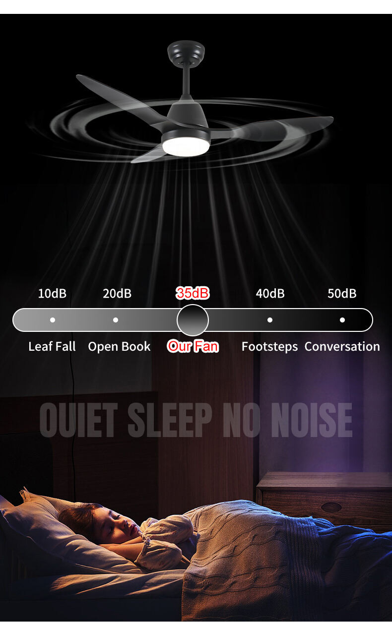 DEEBEA~1.JPG
