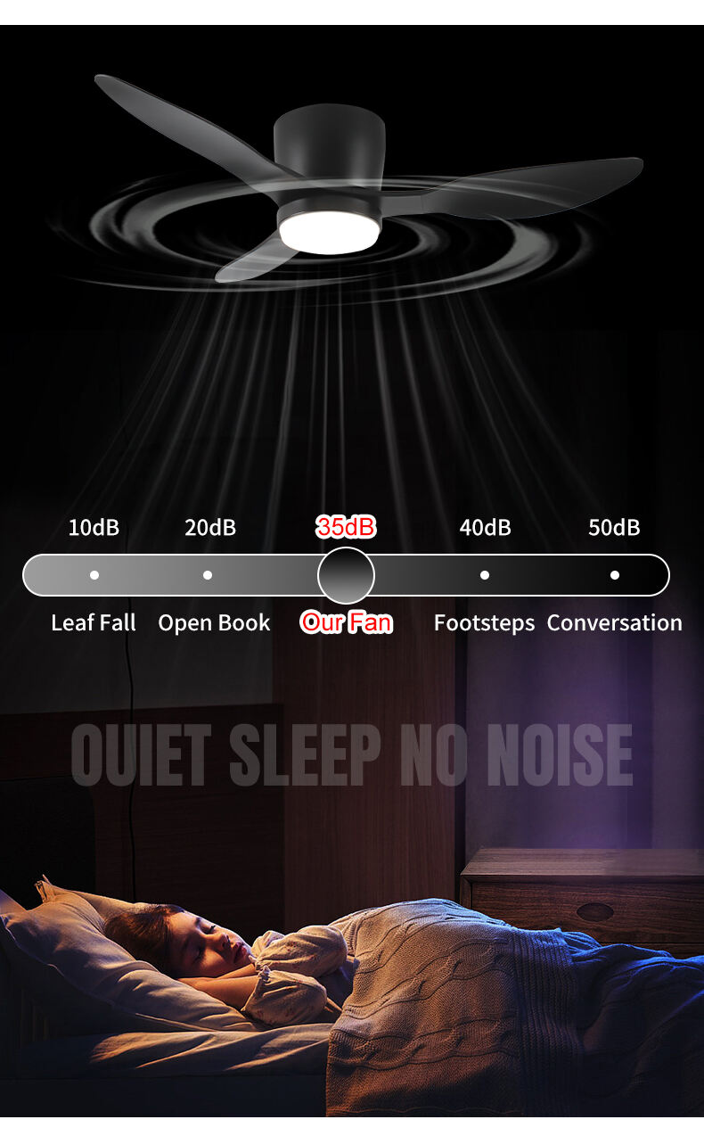 DEEBEA~1.JPG