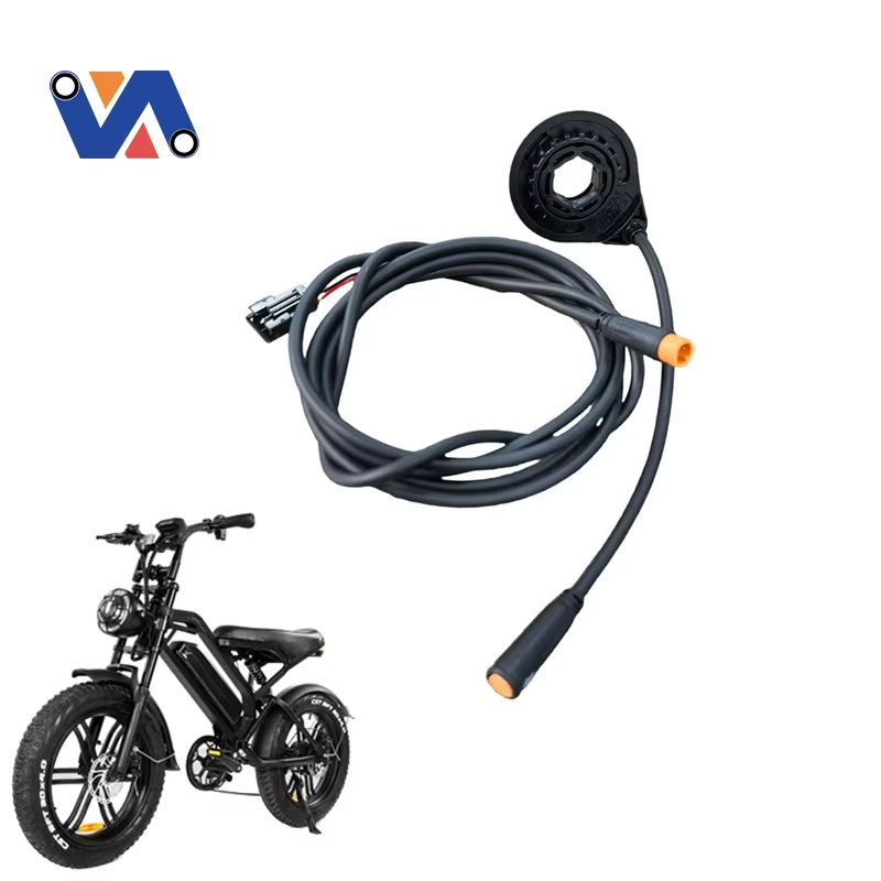 What Drives Fat Tire E-Bike Growth?