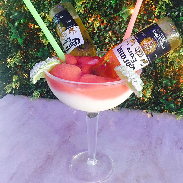 Stylish Margarita Glasses for a Perfect Sip
