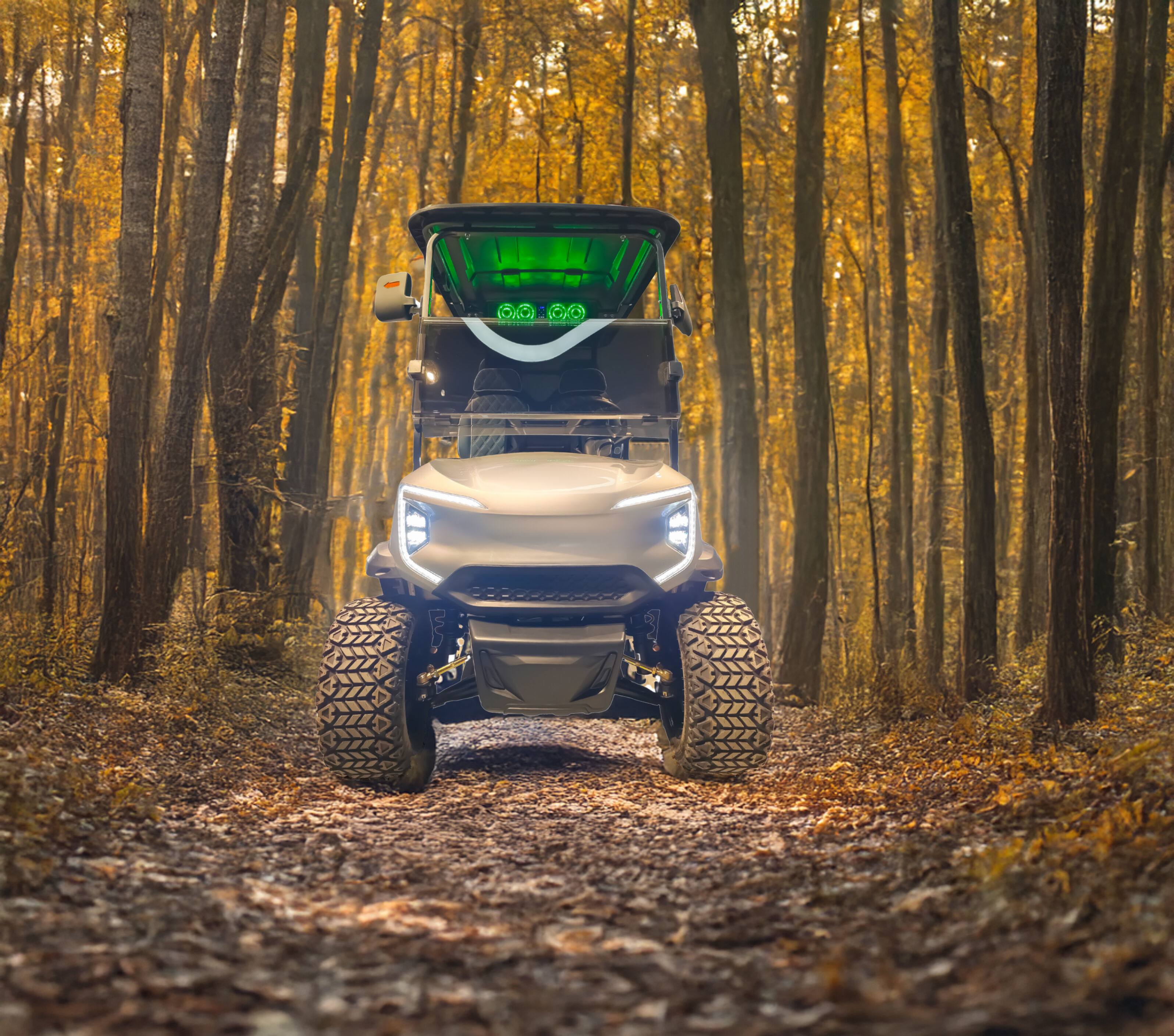 2026 Color Customized 4 Seat 6 Seat Lithium Black/Blue/White/Red/Yellow/Green Electric Golf Cart