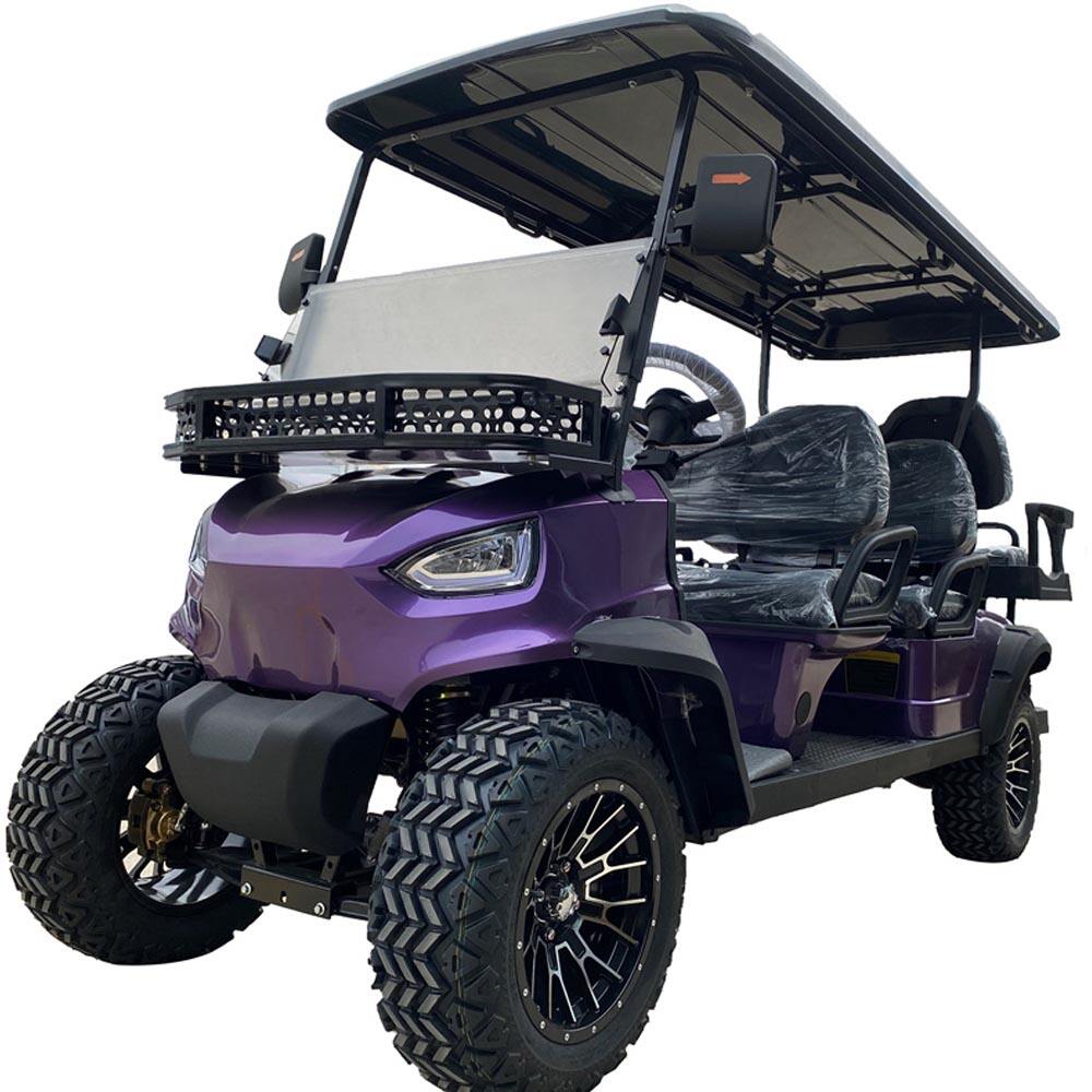 Best 8 Golf Cart 48 Volt Manufacturer In Turkey