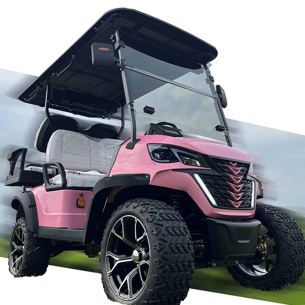 Best 8 golf cart 4 6 seater Supplier in Denmark