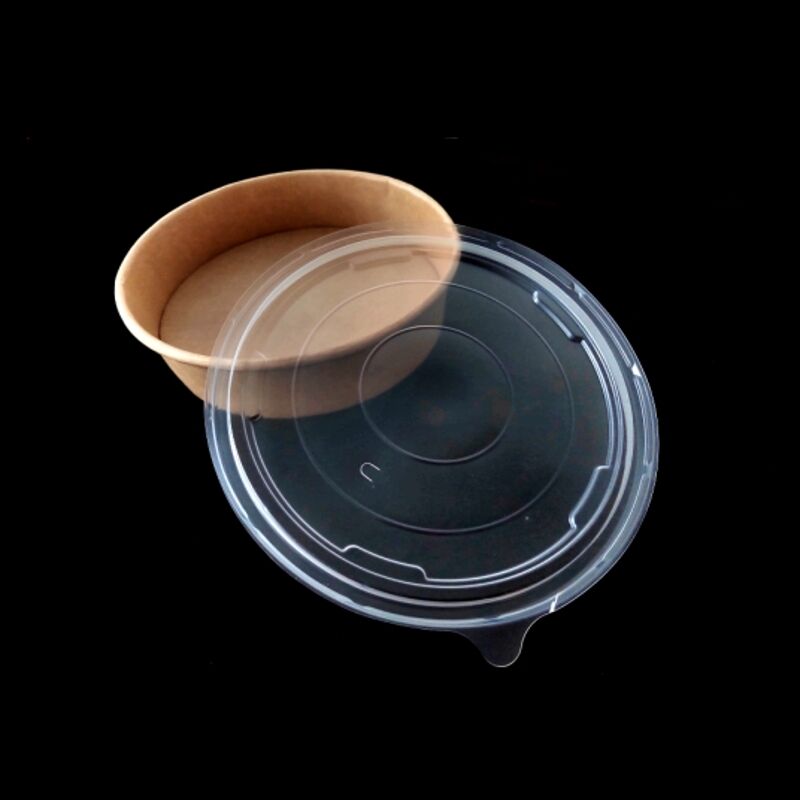 Plastic Lid for Bowl-2