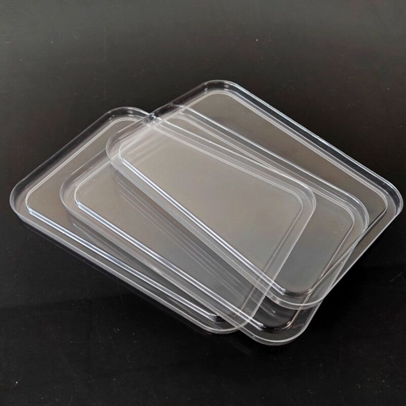 Rectangular Plastic Lid for Bowl-4