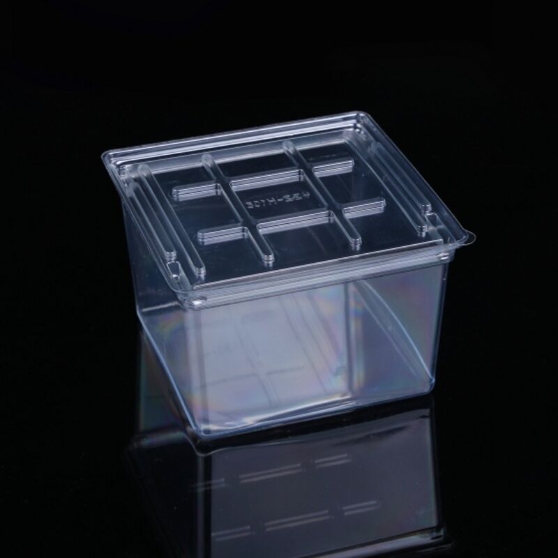 Vacuum form clear insert box 