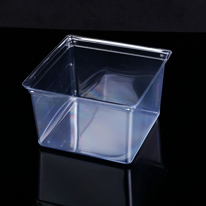 Vacuum form clear insert box | Other Blister Packaging