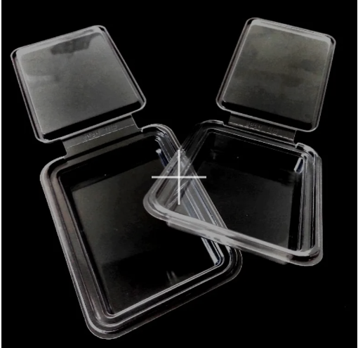 What Is Blister Plastic Packaging and How Is It Used in Retail?