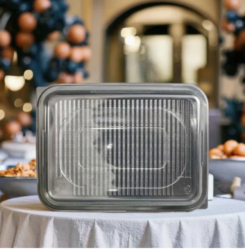 What Are the Benefits of Using Plastic Sandwich Boxes?