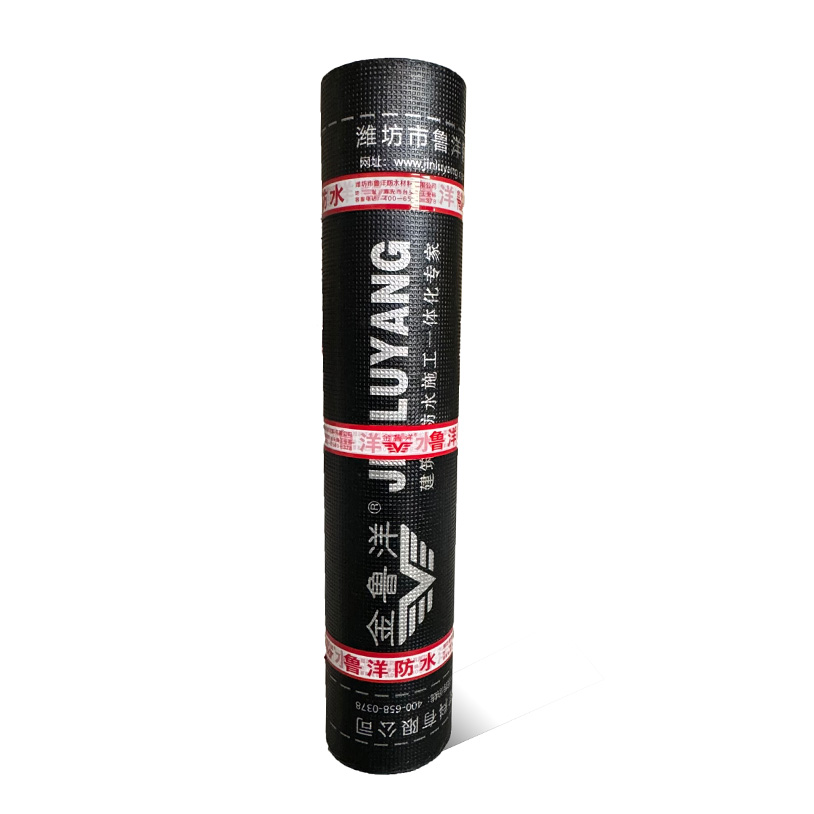 PP Waterproof Membrane: Lightweight & Strong
