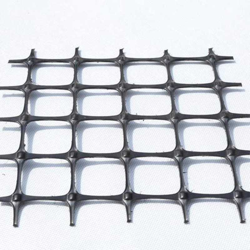 Geogrid