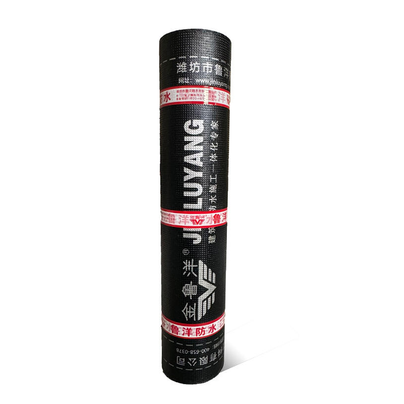 4mm Hot Torch SBS Bitumen Waterproof Membrane
