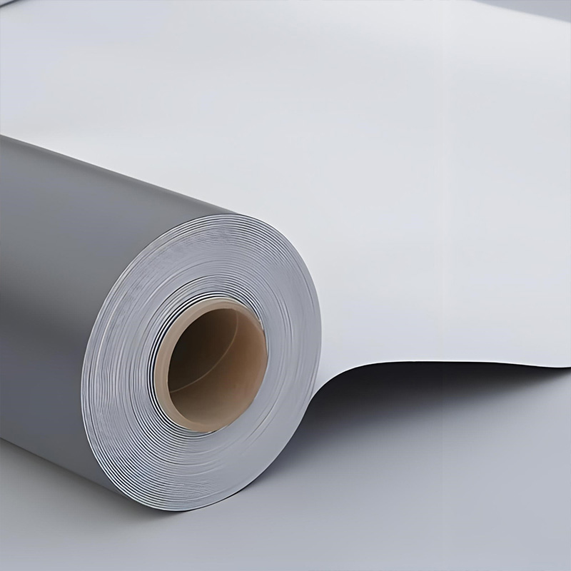 Membrane Innovation: Transforming Waterproofing

