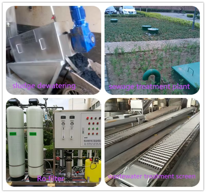 Screw Press Sludge Dewatering Machine factory