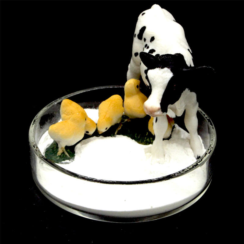 بیولوژی دوستانه تولید