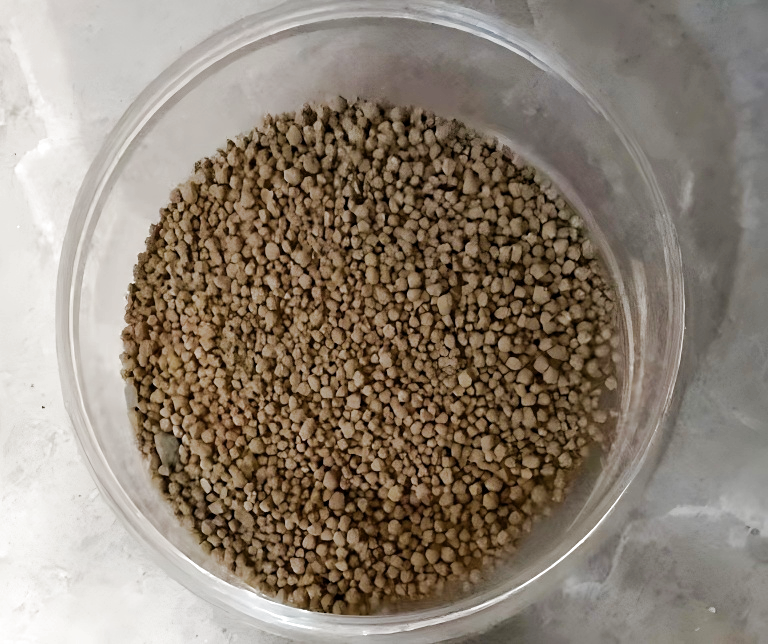 De kracht vrijmaken van granulair mycoproteïne voor duurzame voeding