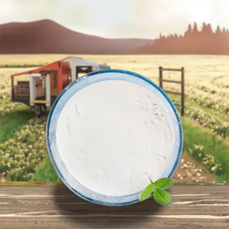 Qidalılıq baxımından üstünlük