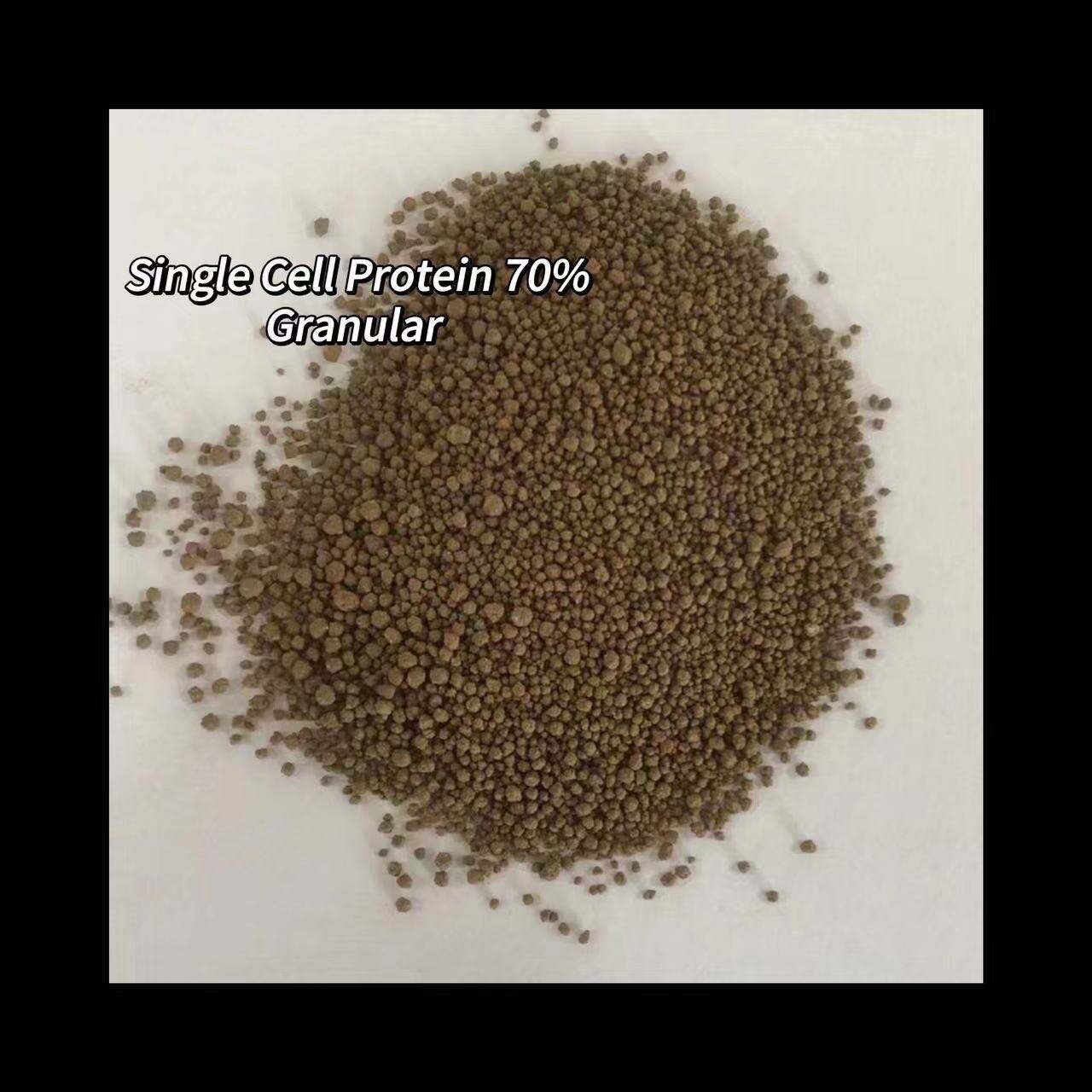 What is the optimal addition ratio of high protein mycoprotein?
