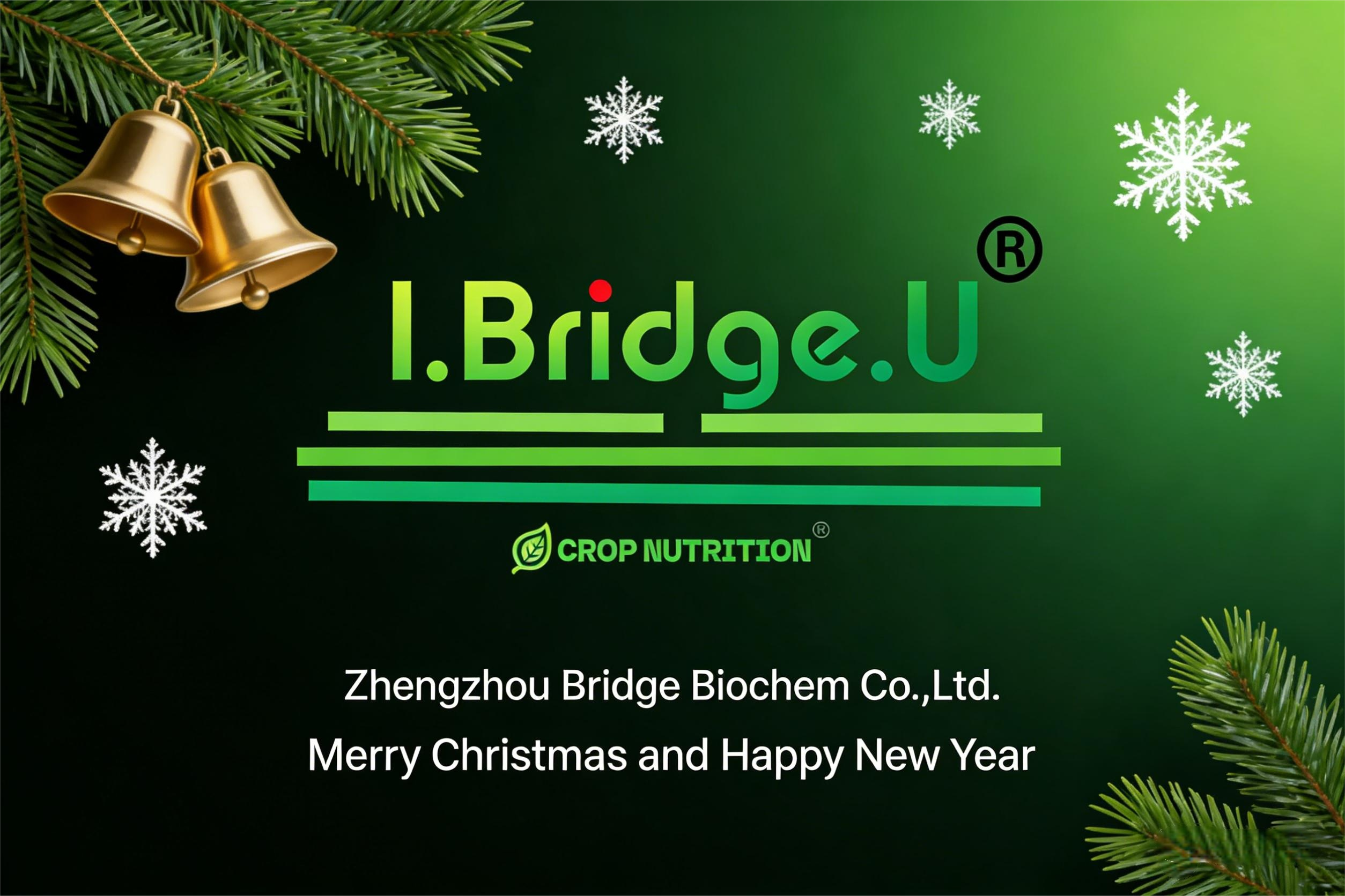 Merry Christmas and Future Collaborations