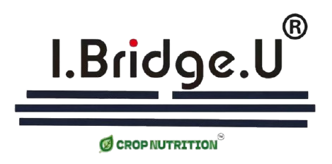 Zhengzhou Bridge Biochem Co.,Ltd.