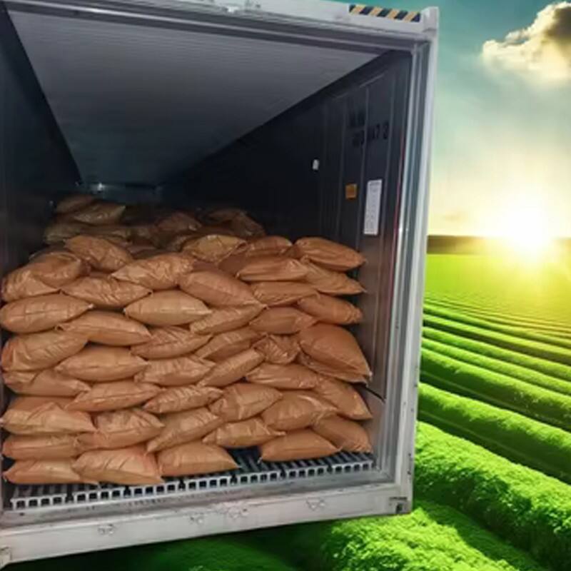 Sürəngin Qidalanma üçün Premium Su Məhsulları CSL Tozu