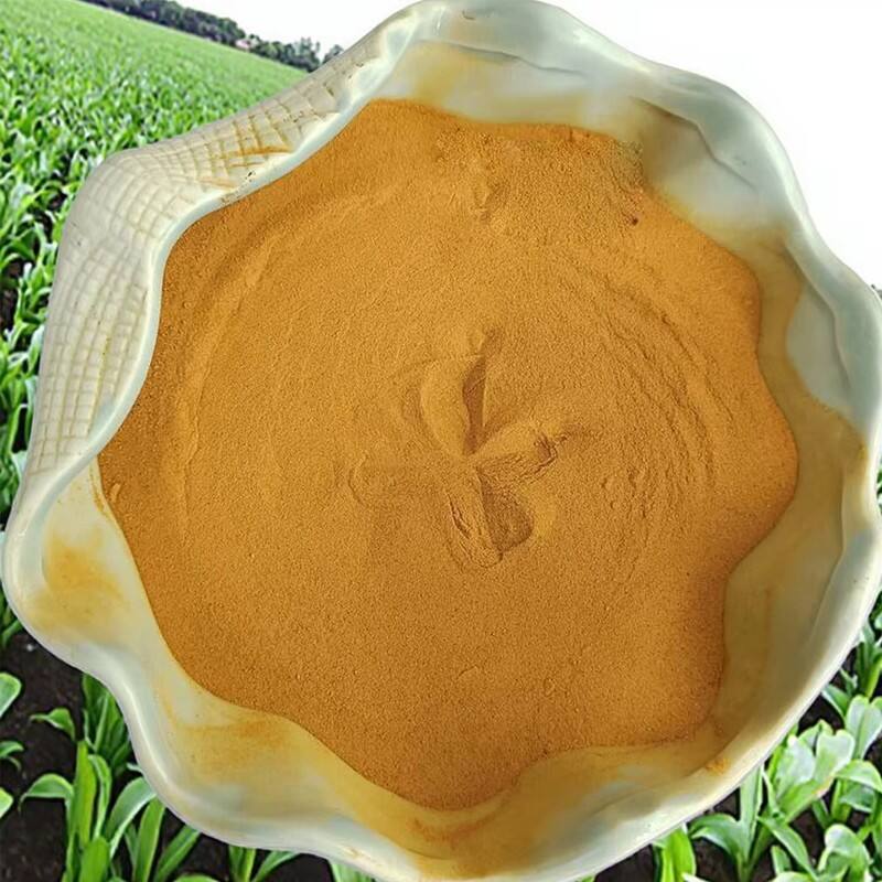 Amélioration de la santé du sol