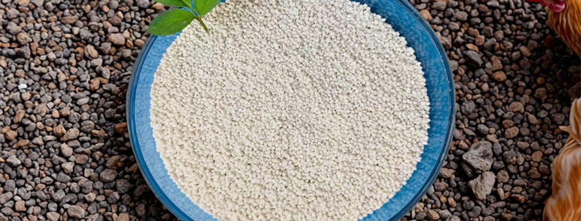 Monodicalcium Phosphate 21% 