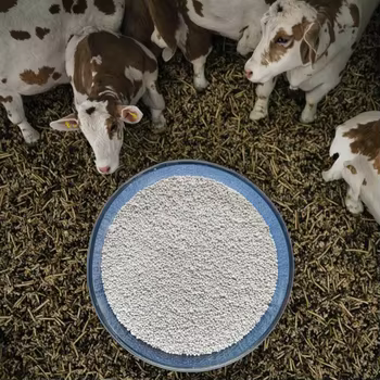 Biodisponibilité élevée