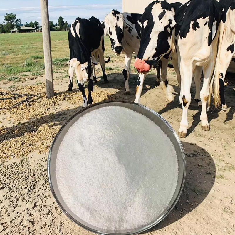 What mixing steps ensure the effect of stable quality rice protein powder?