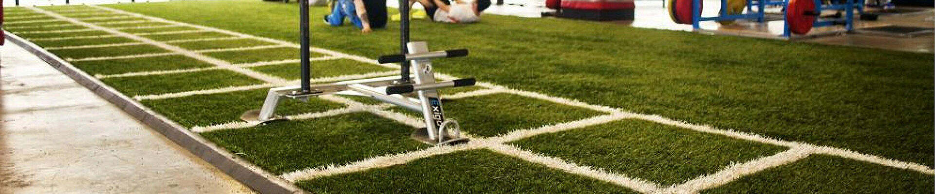mcg gym grass-0